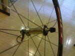 Zipp.jpg