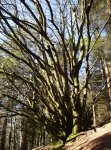 DSC09014_redimensionar.JPG