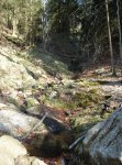 DSC09016_redimensionar.JPG