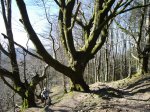 DSC09018_redimensionar.JPG