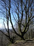DSC09019_redimensionar.JPG