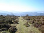 DSC09024_redimensionar.JPG