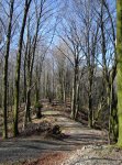 DSC09026_redimensionar.JPG