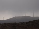 PC180049.JPG