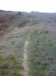 23022008348tn_1.jpg
