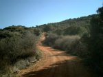 CRIM0023 (Small).JPG