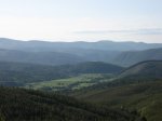 IMG_3706.JPG