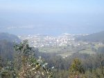DSC0106010.jpg