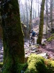 2008-02-23 Lizarrusti034.jpg