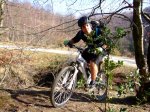 2008-02-23 Lizarrusti039.jpg