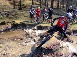 2008-02-23 Lizarrusti074.jpg