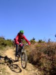 2008-02-23 Lizarrusti114.jpg