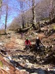 2008-02-23 Lizarrusti155.jpg