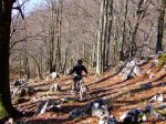 2008-02-23 Lizarrusti175.jpg