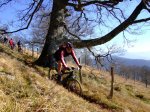 2008-02-23 Lizarrusti214.jpg