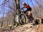 2008-02-23 Lizarrusti228.jpg