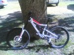 devinci copy.jpg