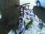 devinci2 copy.jpg