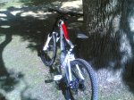 devinci3 copy.jpg