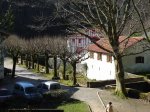 DSC09036_redimensionar.JPG