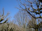DSC09039_redimensionar.JPG