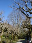 DSC09040_redimensionar.JPG