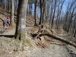 DSC09043_redimensionar.JPG