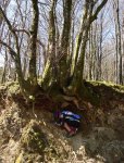 DSC09048_redimensionar.JPG