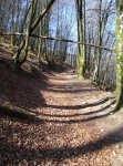 DSC09051_redimensionar.JPG