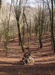 DSC09054_redimensionar.JPG