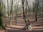 DSC09055_redimensionar.JPG