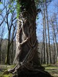 DSC09056_redimensionar.JPG