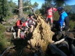DSCN3485.jpg