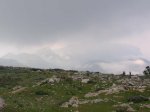 DSCN3496.jpg