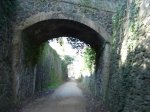 DSC00341.JPG