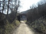 DSC00352.JPG