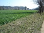 DSC00353.JPG