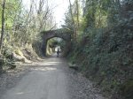 DSC00367.JPG