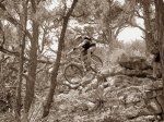 P7140019-sepia.jpg