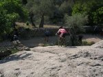 DSCN2893.jpg