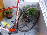 bici 4.jpg