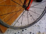 bici 5.jpg