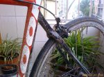bici 7.jpg