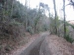 IMG_4874.JPG