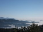 IMG_4882.JPG