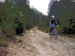 kedada etxalar 2008 021.jpg