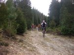 kedada etxalar 2008 022.jpg