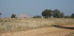 IMG_2575.JPG