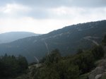 IMG_2596.JPG