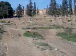 Imagen061.jpg